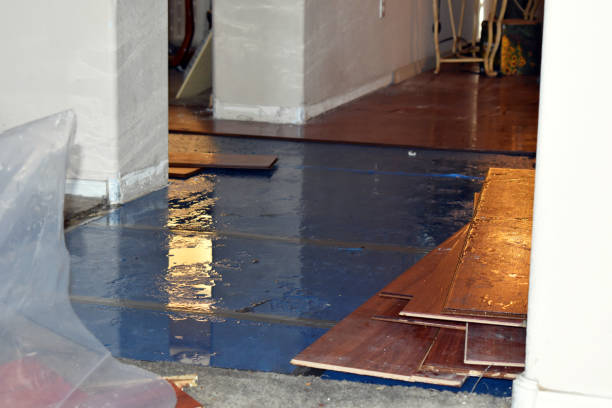 Professional Water Damage Restoration technician working in Weaverville, CA